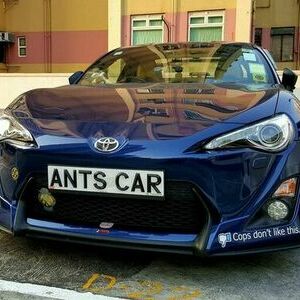 ANTS CAR
